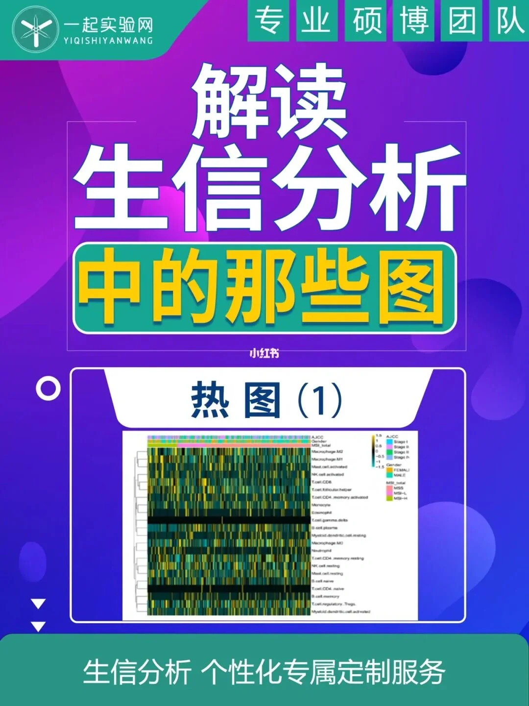 如何分析数字信息的解读方式